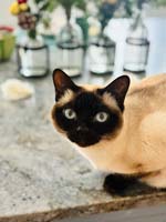 img_056