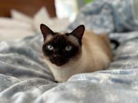 img_057