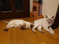 img_063