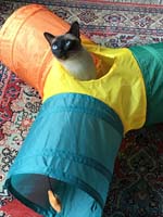 img_105