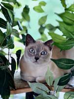 img_107