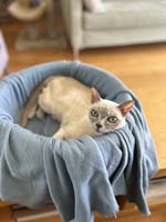 img_146